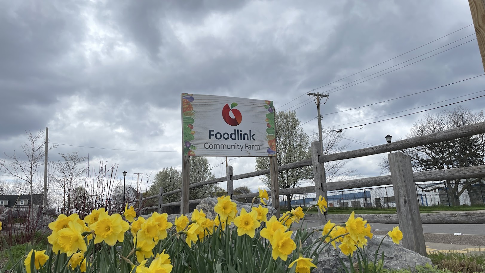 Seeds of change grown at Foodlink 