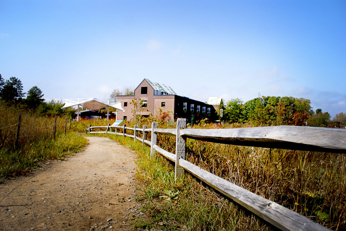 Albany area wetlands collide with major housing development