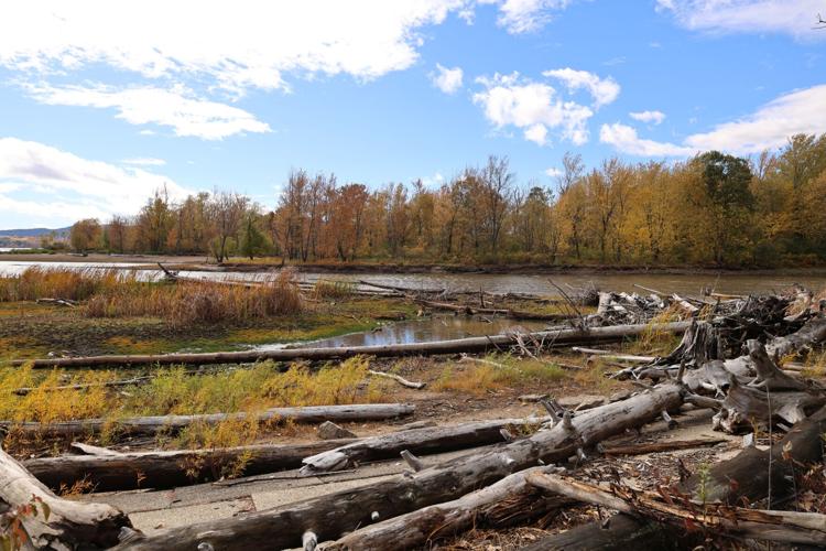 Northern New York drought impact: Fish, boats, vegetation